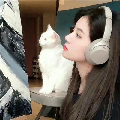豪情四兄弟